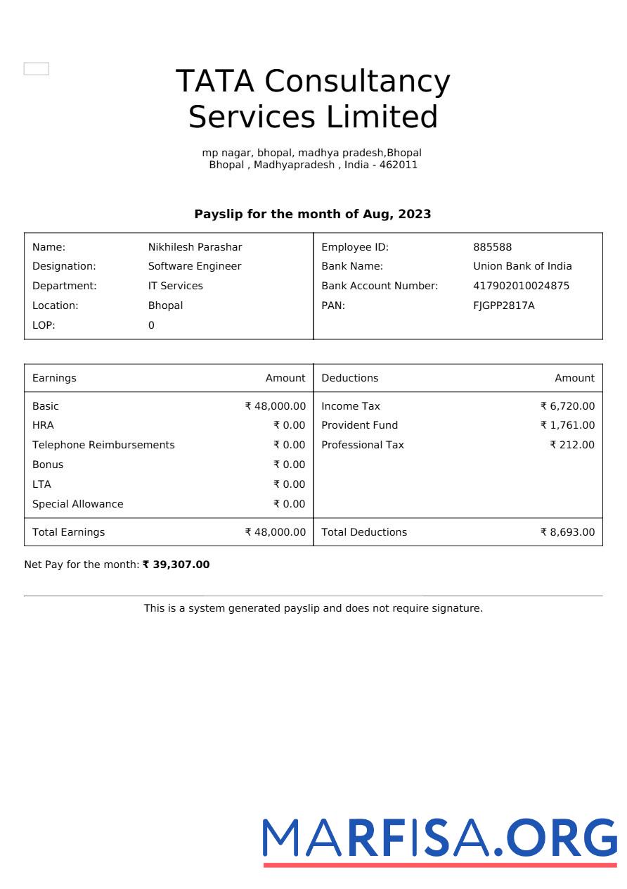 Downloadable Tata Consultancy Services payslip example